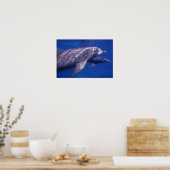 Mexico, Cozumel. Dolfine met flensoren, Tursiops 2 Poster (Keuken)