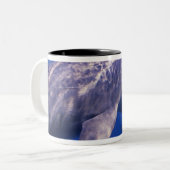 Mexico, Cozumel. Dolfine met flensoren, Tursiops 2 Tweekleurige Koffiemok (Voorkant links)