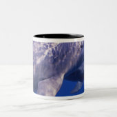 Mexico, Cozumel. Dolfine met flensoren, Tursiops 2 Tweekleurige Koffiemok (Center)