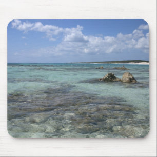 Mexico, Cozumel, Punta Morena, de oostkust 2 Muismat