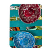 Mexico, Cozumel. Souvenirs in Isla de Cozumel Magneet (Verticaal)