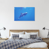 Mexico, Cozumel. Tuimelaar Canvas Afdruk (Insitu (Slaapkamer))