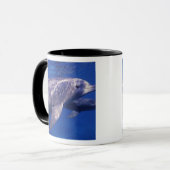 Mexico, Cozumel. Tuimelaar, Tursiops 2 Mok (Voorkant links)