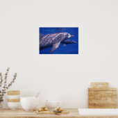 Mexico, Cozumel. Tuimelaar, Tursiops 2 Poster (Keuken)