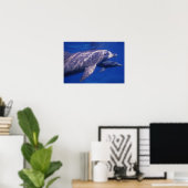 Mexico, Cozumel. Tuimelaar, Tursiops 2 Poster (Thuiskantoor)