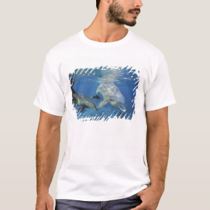 Mexico, Cozumel. Tuimelaar, Tursiops 5 T-shirt