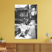 MEXICO, D.F., Mexico City, COYOACAN: Bench at Canvas Afdruk (Insitu (Woonkamer))