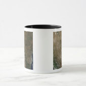 Mexico en de Zuidwestelijke Verenigde Staten Mok (Midden)