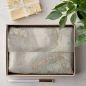 Mexico en Guatamala Tissuepapier (Geschenk)