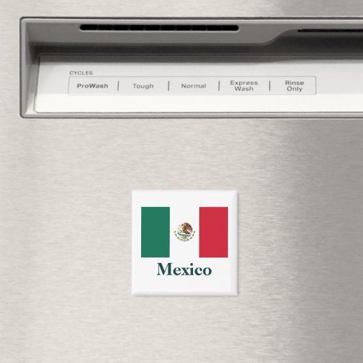 Mexico Flag Magnet (Insitu (Vaatwasser))