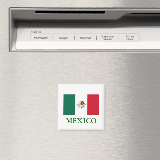 Mexico Flag Magnet (Insitu (Vaatwasser))