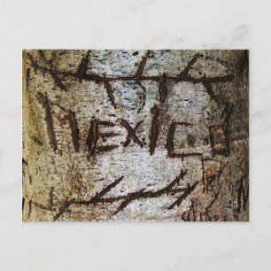 "Mexico" - Graffiti met een gekantelde boom Briefkaart