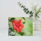 Mexico hibiscus flower briefkaart (Staand voorkant)