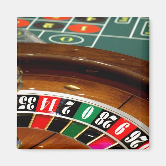 Mexico is kaalig. Princess Cruises Dawn Princess 2 Magneet (Voorkant)