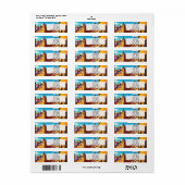 Mexico Kerk Guanajuato Etiket (Full Sheet)