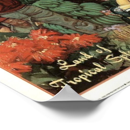  Mexico Land van het Poster van de Tropische Splen (Hoek)