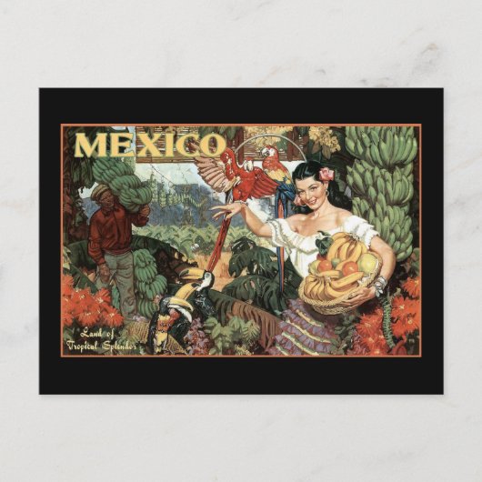 mexico land van tropische milt briefkaart (Voorkant)