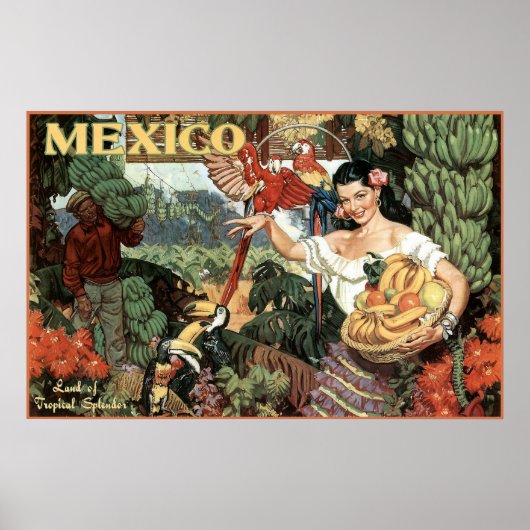 mexico land van tropische milt poster (Voorkant)
