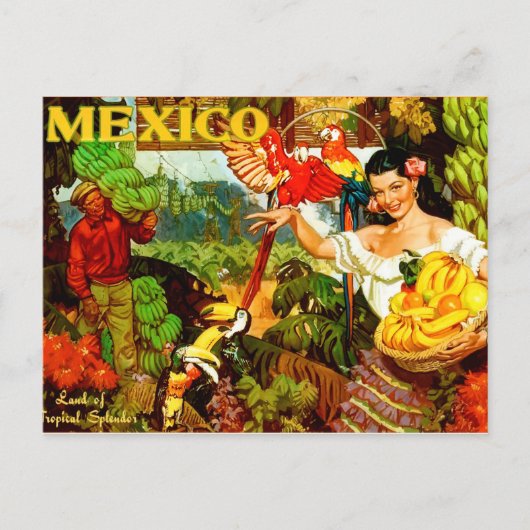 Mexico Land van Tropische Splendor Briefkaart (Voorkant)