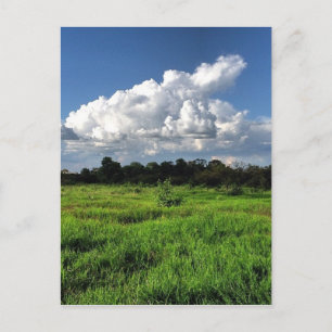 #mexico #losaltos #jalisco briefkaart