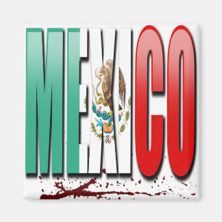 mexico magneet