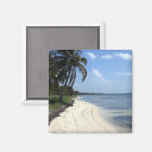 Mexico magneet (Voorkant / Achterkant)