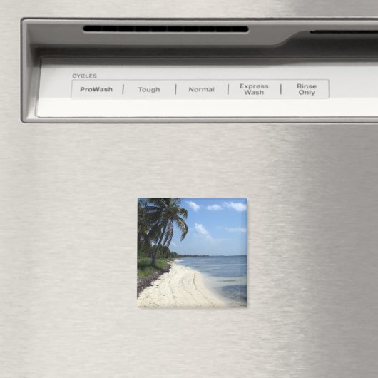 Mexico magneet (Insitu (Vaatwasser))