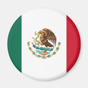 mexico magneet