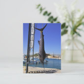 Mexico Marlin Briefkaart (Staand voorkant)