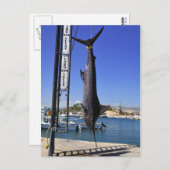 Mexico Marlin Briefkaart (Voorkant / Achterkant)