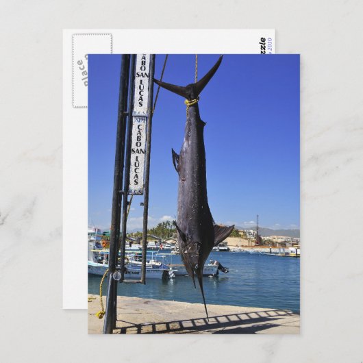 Mexico Marlin Briefkaart (Voorkant / Achterkant)