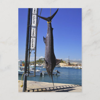 Mexico Marlin Briefkaart