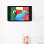 Mexico McCaw Spandoek (Insitu)