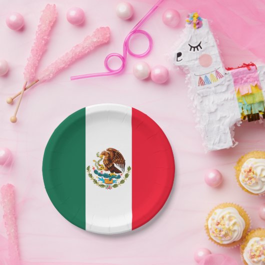 Mexico Papieren Bordje (Feest)