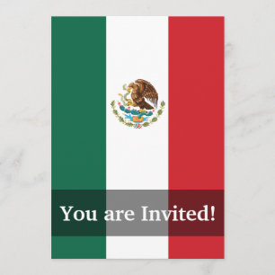 Mexico Plain Flag Kaart