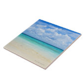 Mexico, Playa Del Carmen, tropisch strand Tegeltje (Zijkant)