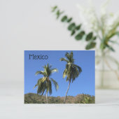 Mexico Post Card Briefkaart (Staand voorkant)