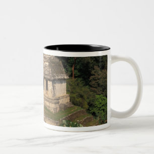 Mexico, provincie Chiapas, Palenque, Tempel van Tweekleurige Koffiemok