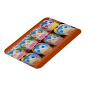 Mexico, provincie Oaxaca, Oaxaca, markt van Abasto Magneet (Linkerzijde)