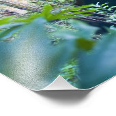 Mexico, Quintana Roo, bij Chichen Itza, Foto Afdruk (Hoek)