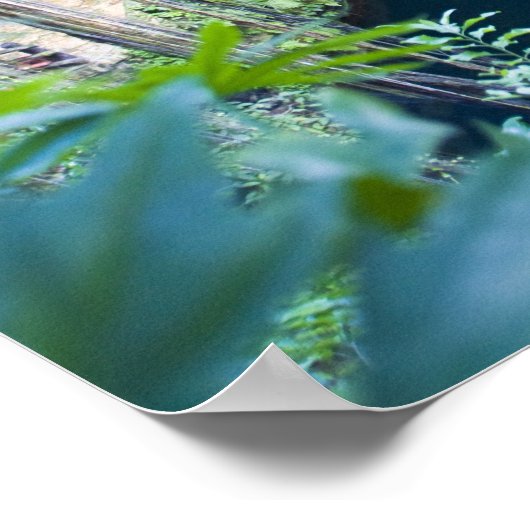 Mexico, Quintana Roo, bij Chichen Itza, Poster (Hoek)