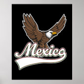 Mexico Reizen logo Poster (Voorkant)