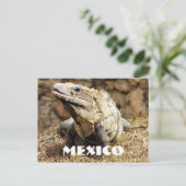 Mexico Reptile Wild Iguana Briefkaart (Staand voorkant)