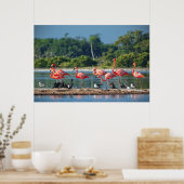 Mexico Rio Lagartos Poster (Keuken)