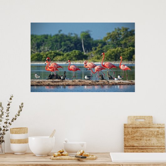 Mexico Rio Lagartos Poster (Keuken)