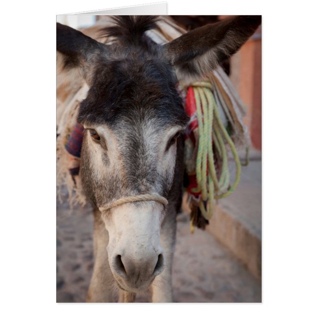 Mexico, San Miguel De Allende 2 (Voorkant)