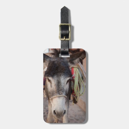 Mexico, San Miguel De Allende 2 Bagagelabel (Voorkant verticaal)