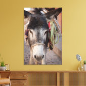 Mexico, San Miguel De Allende 2 Canvas Afdruk (Insitu (Woonkamer))