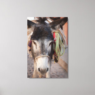 Mexico, San Miguel De Allende 2 Canvas Afdruk