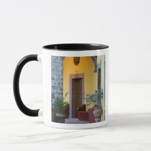 Mexico, San Miguel de Allende, Boogvormige ingang Mok